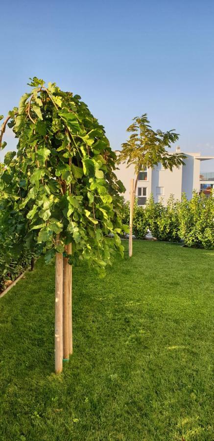 Sea View Apartments Žaborić Extérieur photo